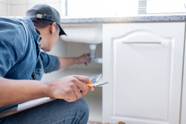 Best Septic Systems  in Vamo, FL