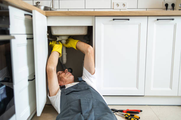 Best Same-Day Plumbing Service  in Vamo, FL