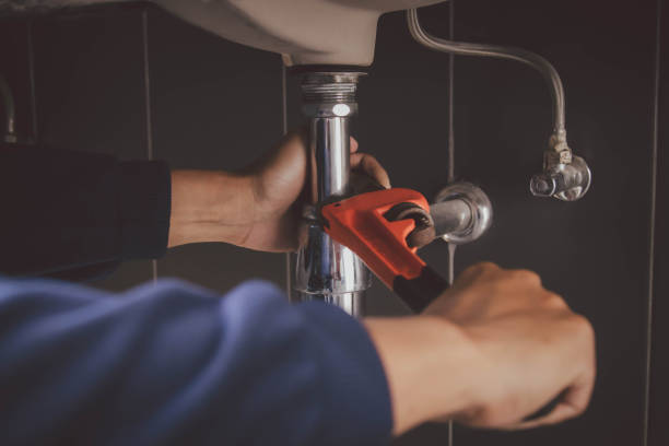 Best Affordable Plumbing Services  in Vamo, FL
