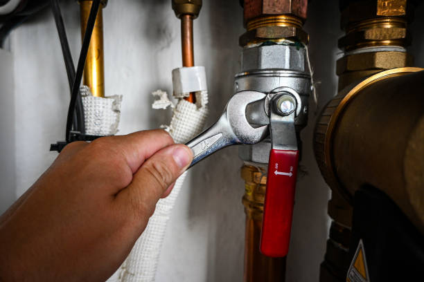 Best Plumbing Inspection Services  in Vamo, FL